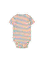 Basic Short-Sleeve Body