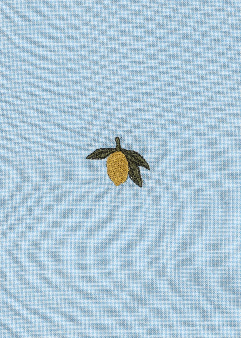 Fran Blue Shirt