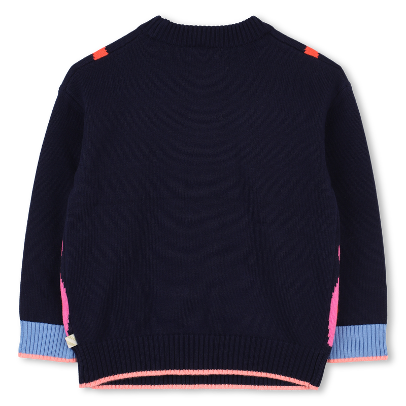 Fine Knitted Sweater
