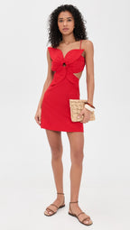 Red Flower Mini Dress