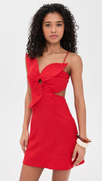 Red Flower Mini Dress