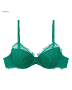 Gwyneth Padded Wired Bra