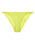 Wild Rosie Lime Lace Briefs