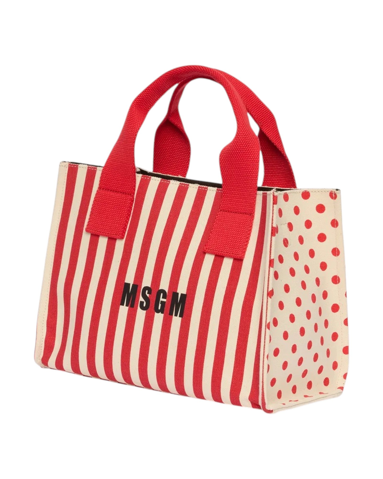 Small Canvas Tote Bag
