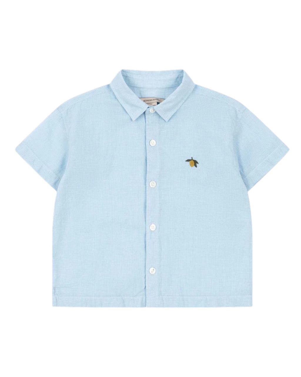 Fran Blue Shirt