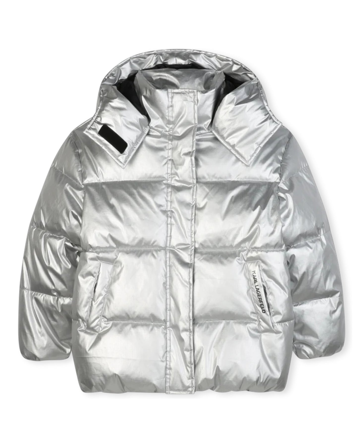 Silver Hooded Down Jacket