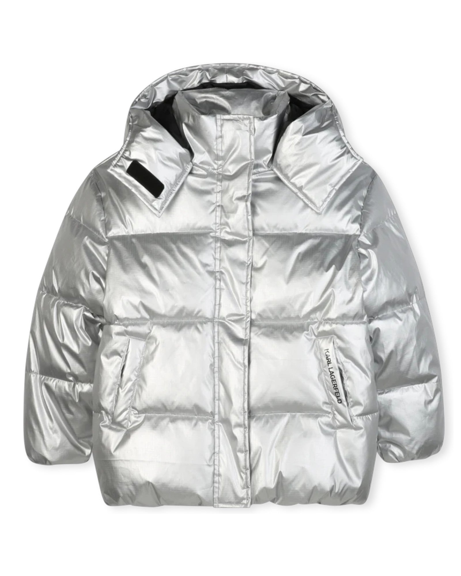 Silver Hooded Down Jacket