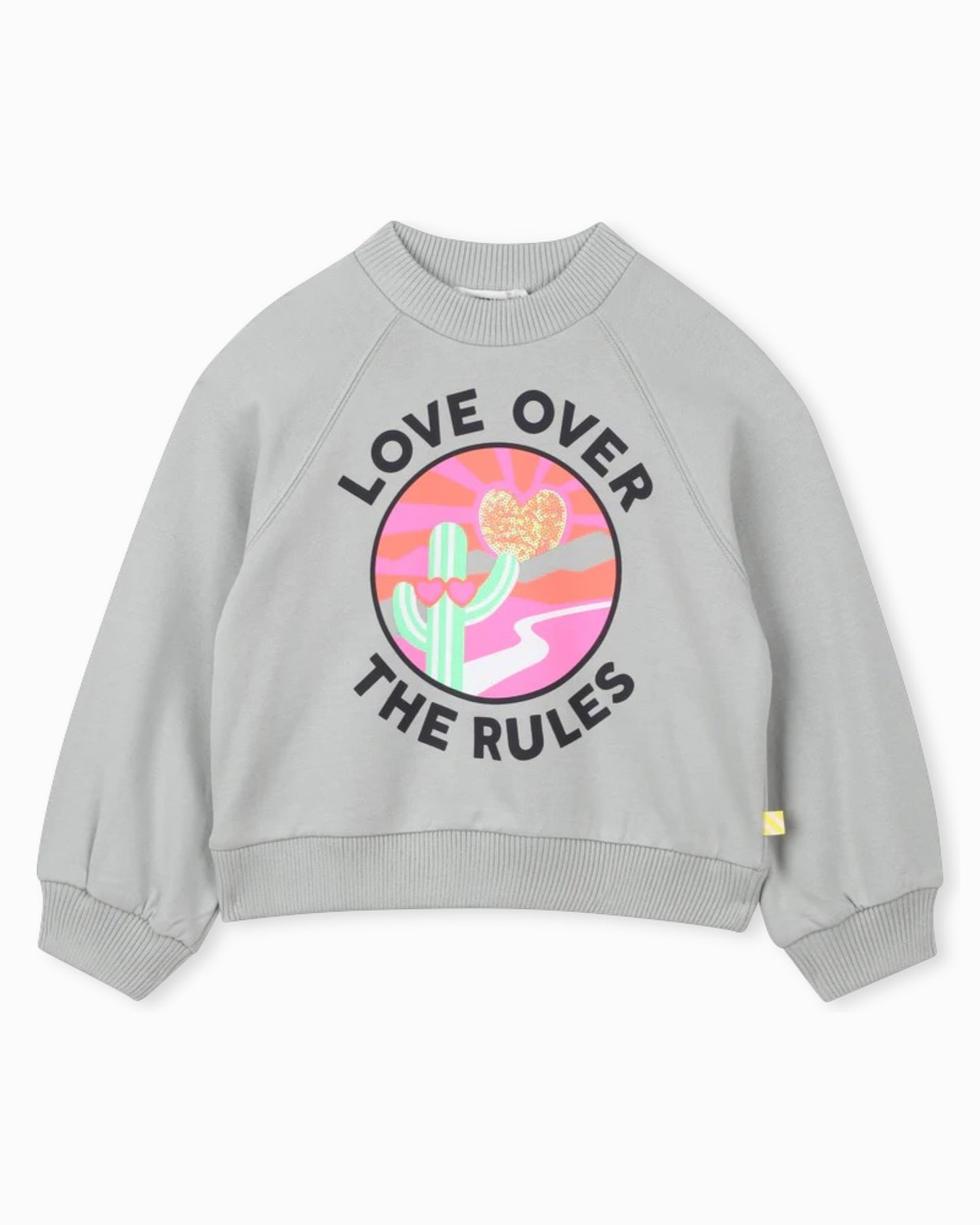 Fleece Grey Sweatshirt
