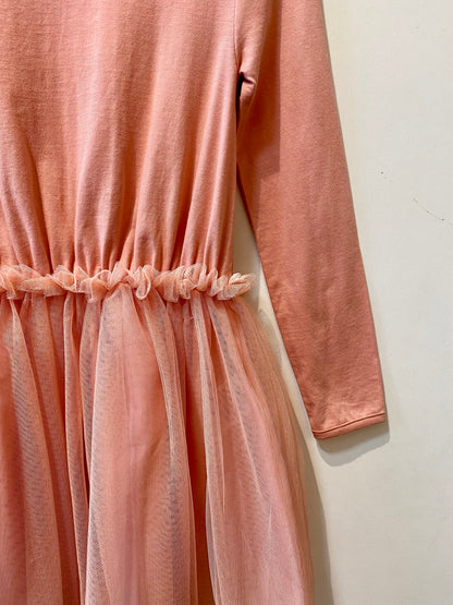 Ballerina Rose Dress